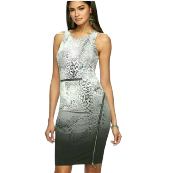 Jennifer Lopez Dresses & Skirts - Jennifer Lopez Women's Animal Print Zipper Dress Size 12